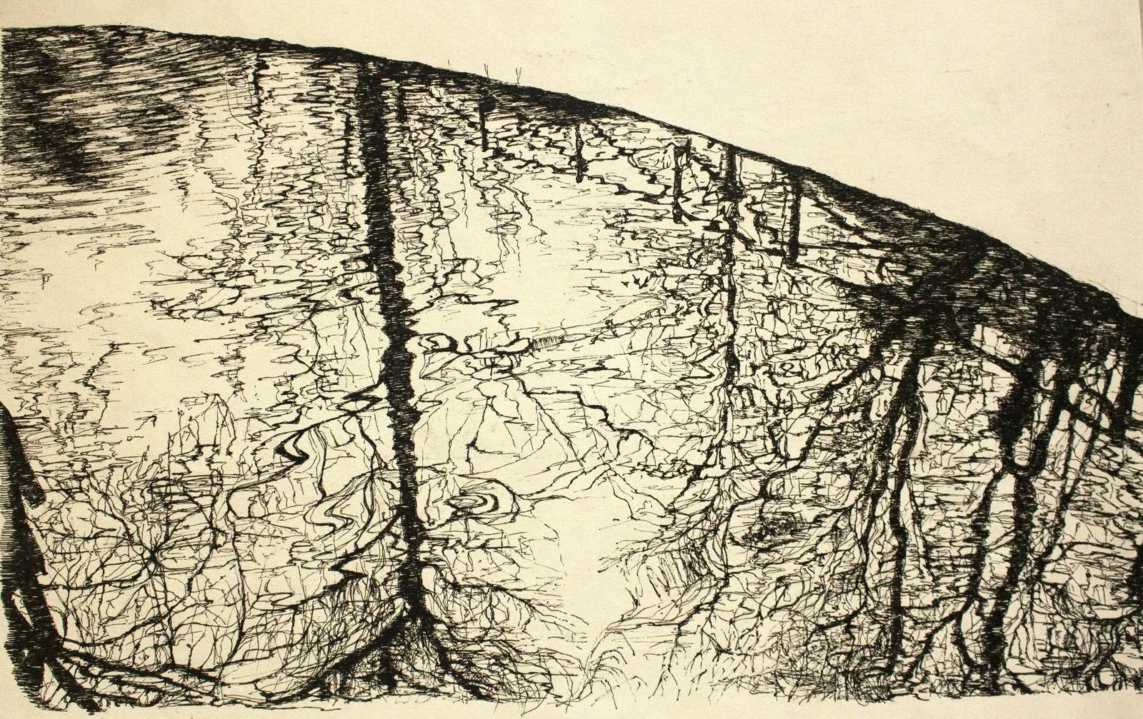 Disegno 6