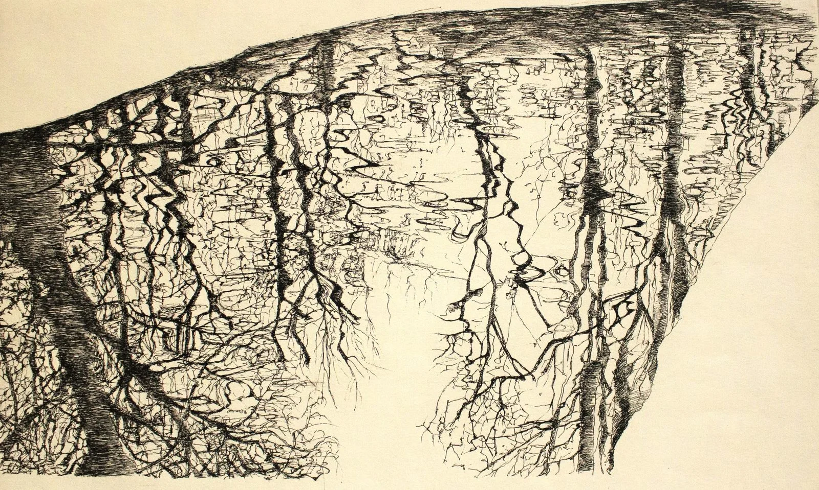 Disegno 7