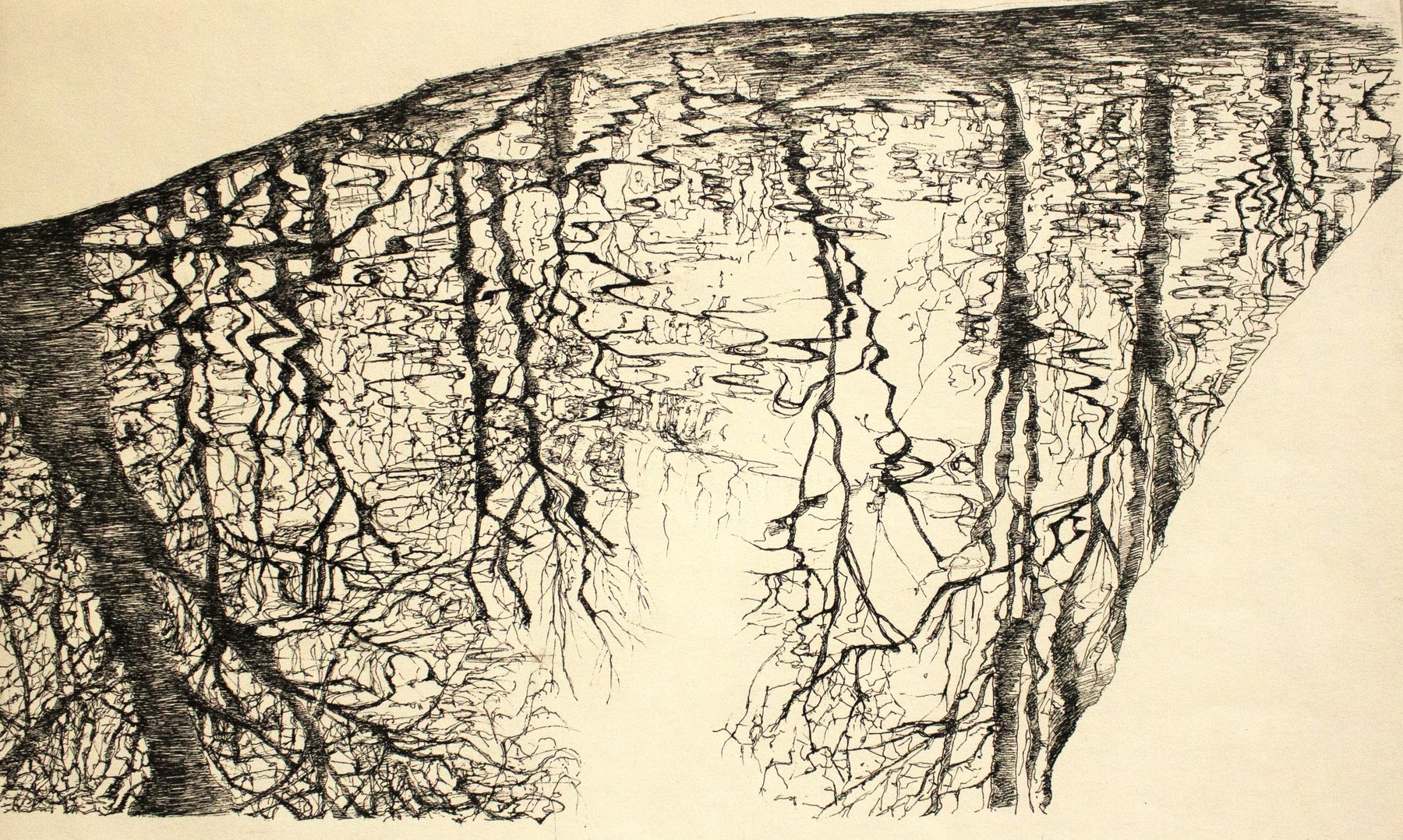 Organique noir et blanc